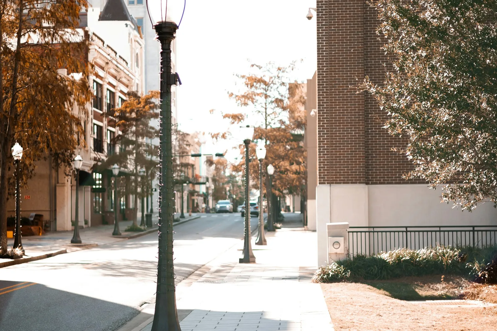 Tree-lined street in Downtown Mobile, Alabama, where Neptune arranges door-to-door car shipping